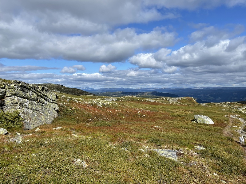 Utsikt på fjellet, Skei
