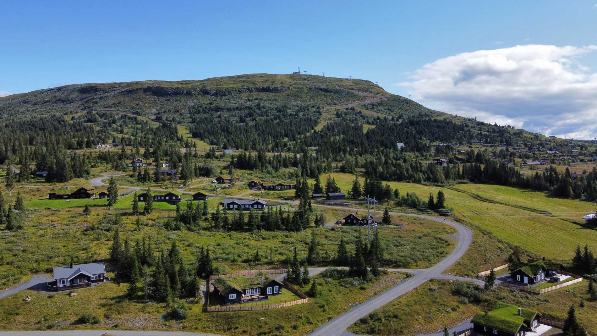 Skei fjellgrend med Skeikampen i bakgrunn