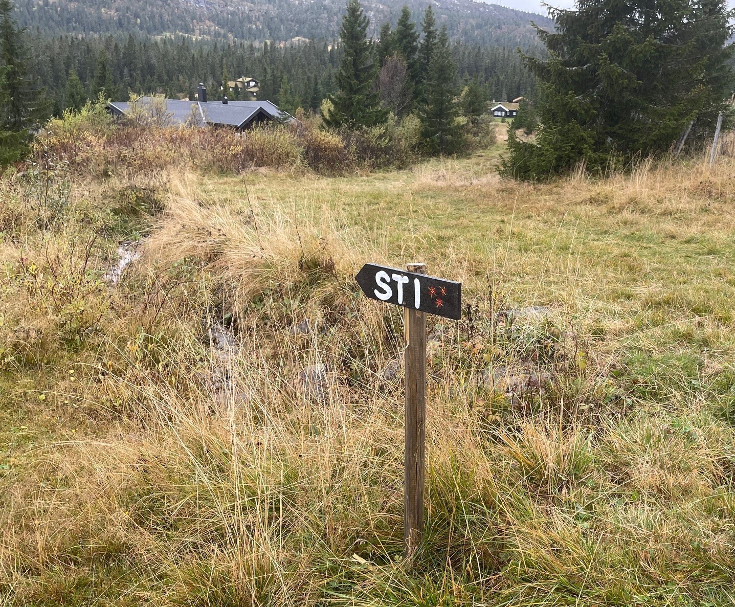 thumbnail_Sti Skei Fjellgrend